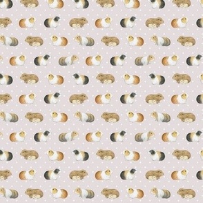 Guinea Pig Rows and Swiss Dot on oyster - tiny scale