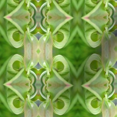 Pitcher Plant Photo Abstract Small - Decorative Botanical Stripes - Leaves and Flowers - Fresh Spring Green - Modern Botany Photograph