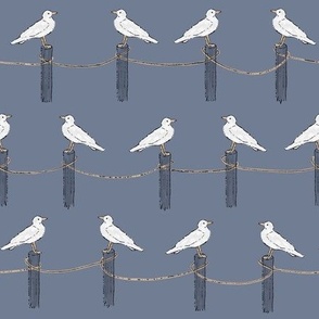 seagulls on fence posts