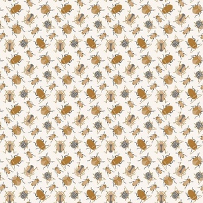 Tan, gray and copper color beetle bugs on a cream background. (Small)