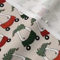 Small / Cozy Christmas Cars
