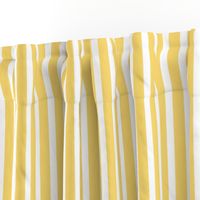 (M) French Country Stripes Yellow and White
