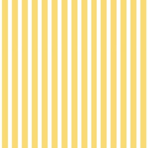 (M) French Country Stripes Yellow and White