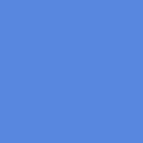 Plain Bright Cornflower Blue Solid - Light Steel Blue - #5887DF