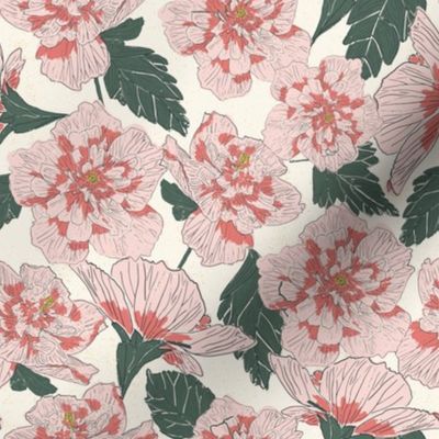  Rose of Sharon - Pink , White and Green