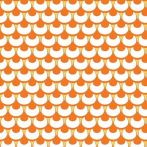 20231025 Kiss_Cookie_Orange_on_Tangerine