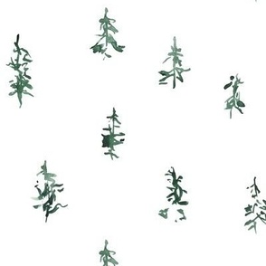 medium - Hieroglyph style airy watercolor pine trees - dark green on white