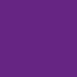 Plain Dark Purple Solid - Bold Deep Amethyst - #662483
