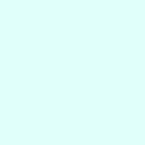 Plain Light Aquamarine Solid - Pale Aqua Green - #E0FEFA