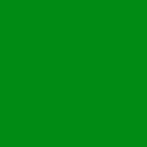 Plain Bright Emerald Green Solid - #008B15