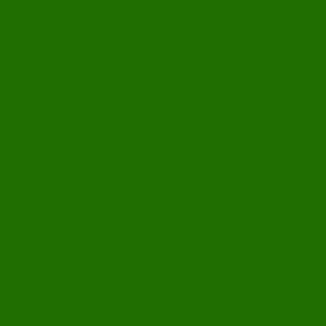 deep green solid 206e01