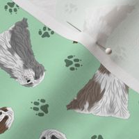 Tiny Bearded Collie - green