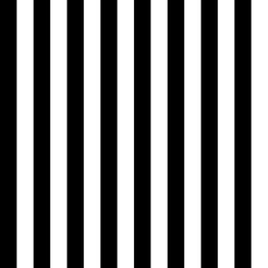 Black and White Vertical Stripes