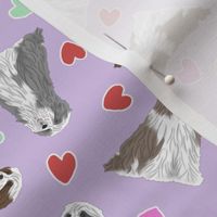 Tiny Bearded Collie - Valentine hearts