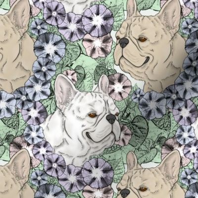 Floral Cream and White French Bulldog portraits