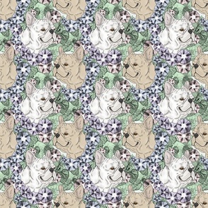 Floral Cream and White French Bulldog portraits