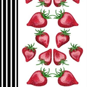 Strawberry Love Stripe on White