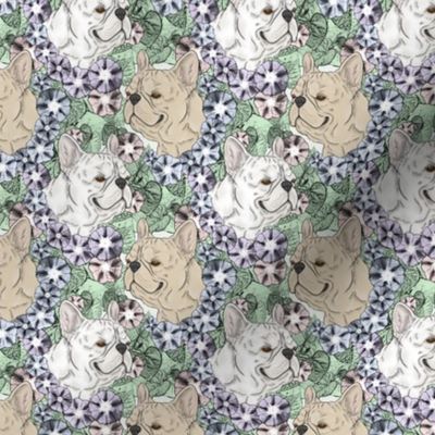 Small Floral Cream and White French Bulldog portraits