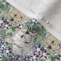 Small Floral Cream and White French Bulldog portraits