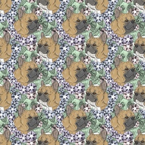 Floral Fawn French Bulldog portraits