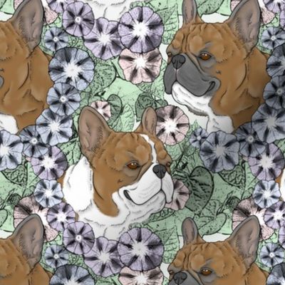 Floral Red fawn French Bulldog portraits