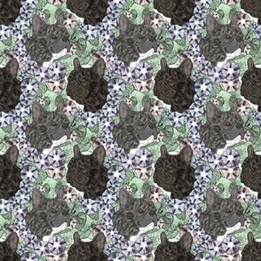 Floral Brindle French Bulldog portraits