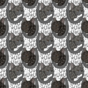 Brindle French Bulldog horseshoe portraits