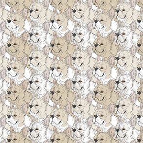 Cream and White French Bulldog portrait pack