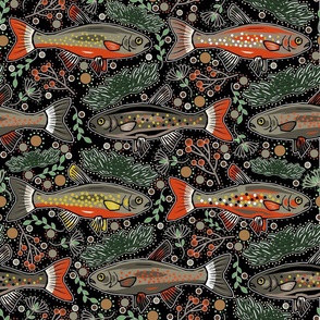 Brook Trout -Gray, Yellow, Orange- New Hampshire State Freshwater Fish on Black