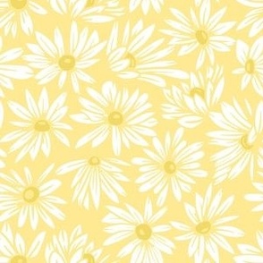 white daisies on yellow