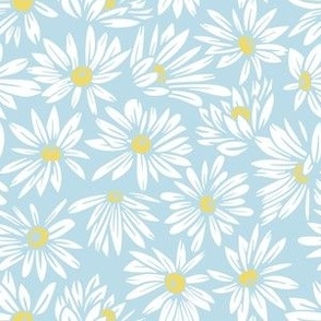 white daisies on light blue
