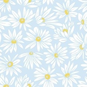 white daisies on light blue