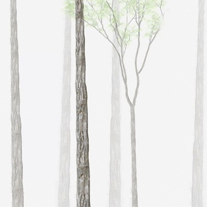 Forest Fog 9.5 Feet In Length