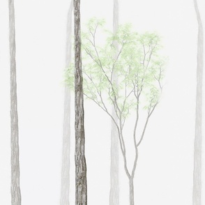 Forest Fog  8 Foot in Length