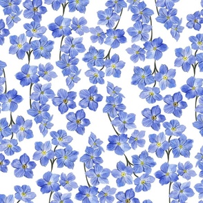 Delicate Painterly Forget Me Nots White  Background Large Scale