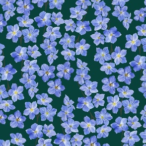 Delicate Painterly Forget Me Nots Deep Green  Background Large Scale