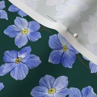 Delicate  Painterly Forget Me Nots Deep Green Background Medium Scale