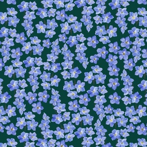 Delicate  Painterly Forget Me Nots Deep Green Background Medium Scale