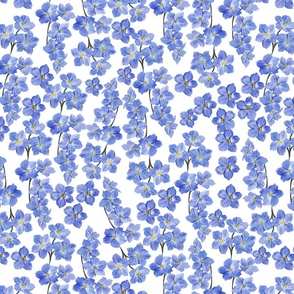 Delicate Painterly Forget Me Nots White  Background Medium Scale