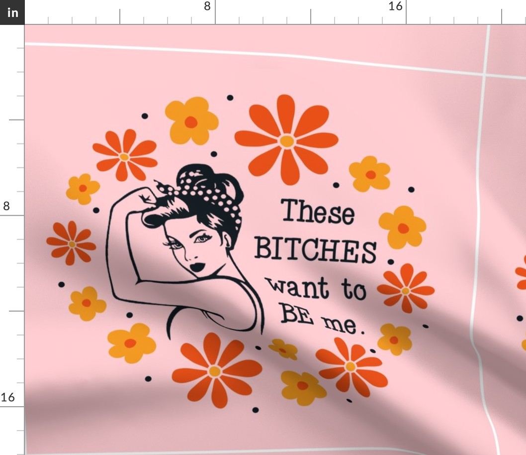 18x18 Panel Sassy Ladies These Bitches Want to Be Me on Pink for DIY Throw Pillow Cushion Cover Tote Bag