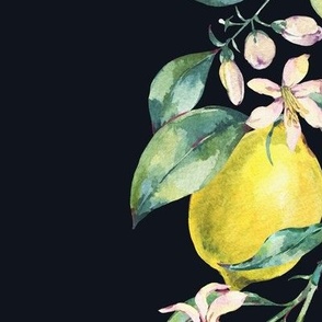 Botanical watercolor vintage lemons on black