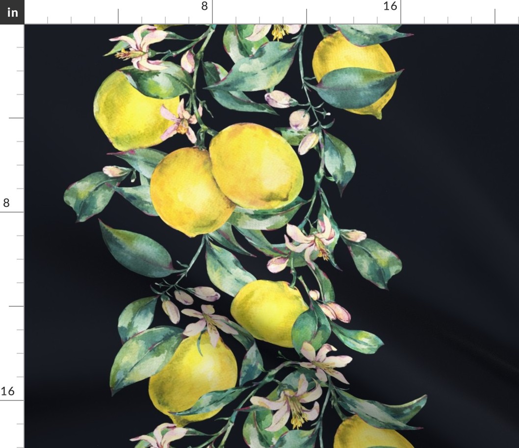 Botanical watercolor vintage lemons on black