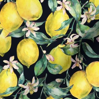 Botanical watercolor vintage lemons on black