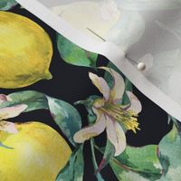 Botanical watercolor vintage lemons on black