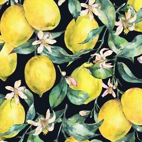 Botanical watercolor vintage lemons on black