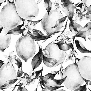 Monochrome Botanical watercolor lemons