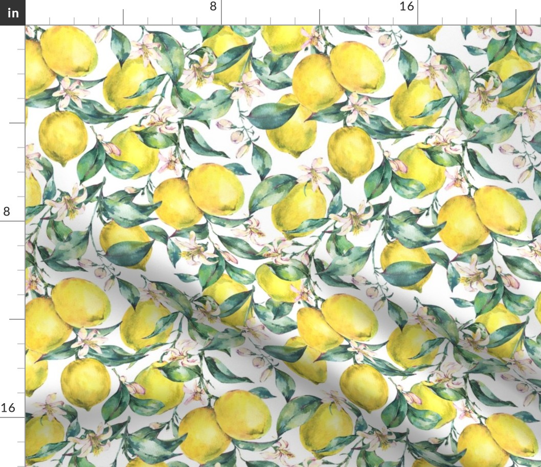 Botanical watercolor vintage lemons on white