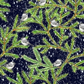 Hand Drawn Chickadee on Pine Tree in Midnight Snowstorm