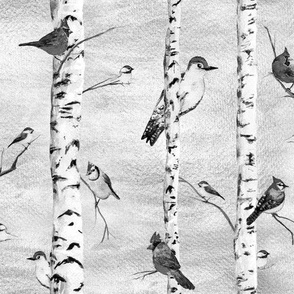 Black & White Birch trees & Winter Birds Watercolor - Cardinals Blue jays Chickadees Red Bellied Woodpecker in Forest