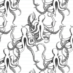 Surreal octopi in medium 